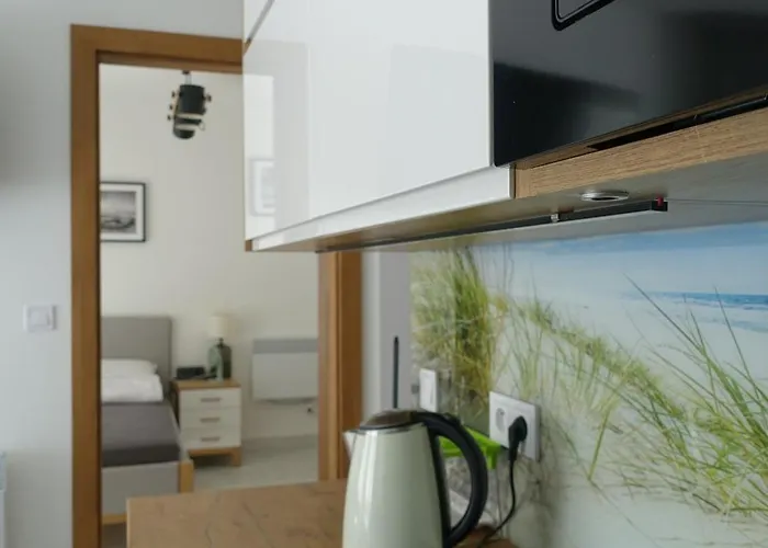 Przy Plazy 2 公寓 罗威